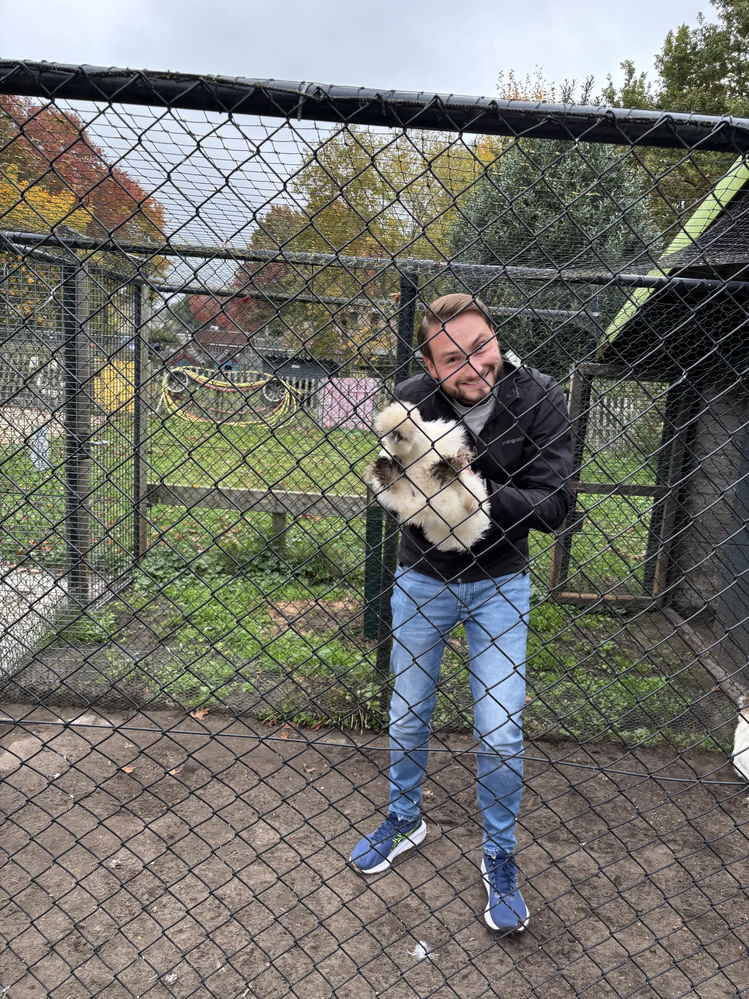 Maatschappelijk teamuitje op de kinderboerderij in Almere